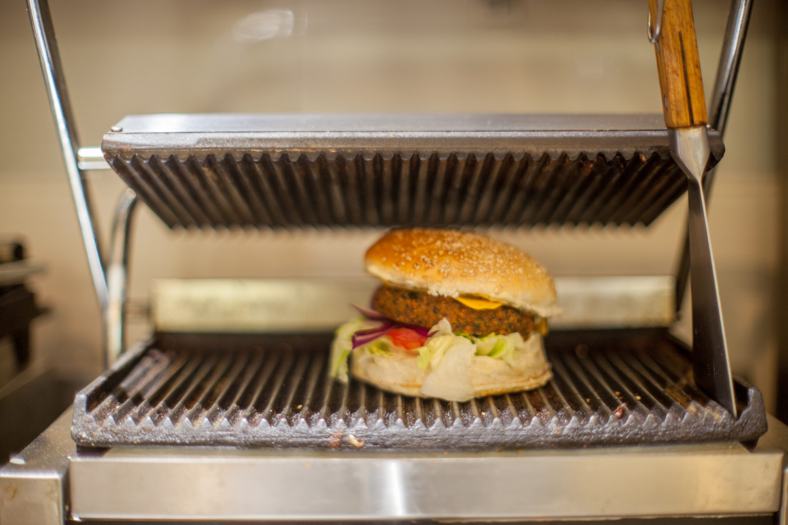 ¿Qué otros usos le puedo dar al pannini grill?